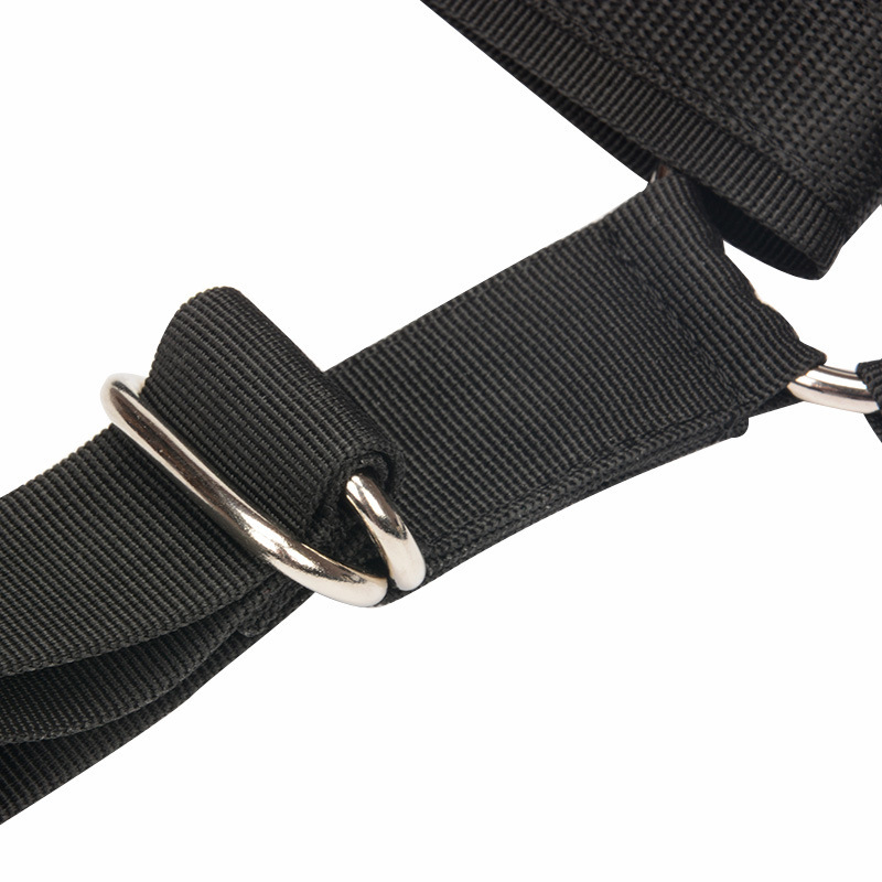 BDSM Sex Toys Bondage Gear Bin - Men Accessories Shop review and price