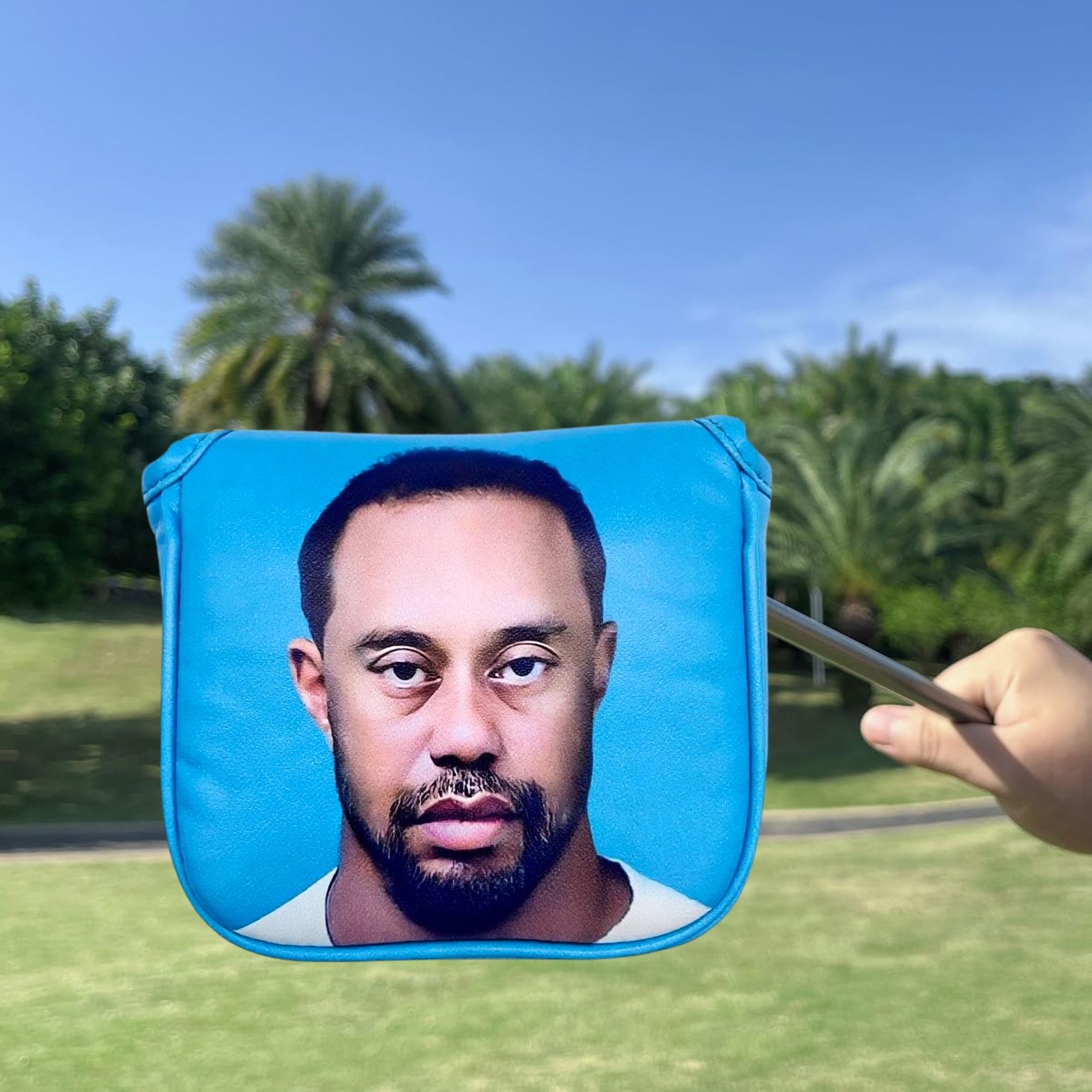 Funny Golf Mallet Putter Head  - Men'S Accessories review and price